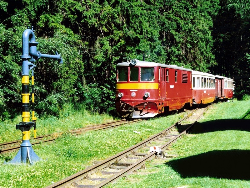 [800x600] 705906j.jpg