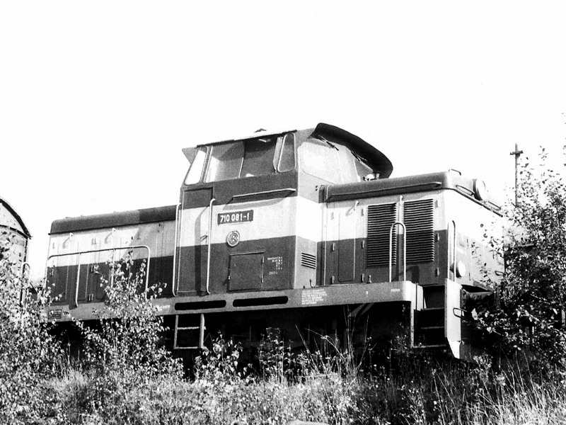 [800x600] 710081a.jpg