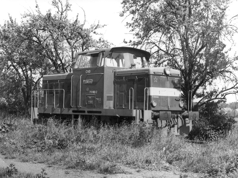 [800x600] 710092b.jpg