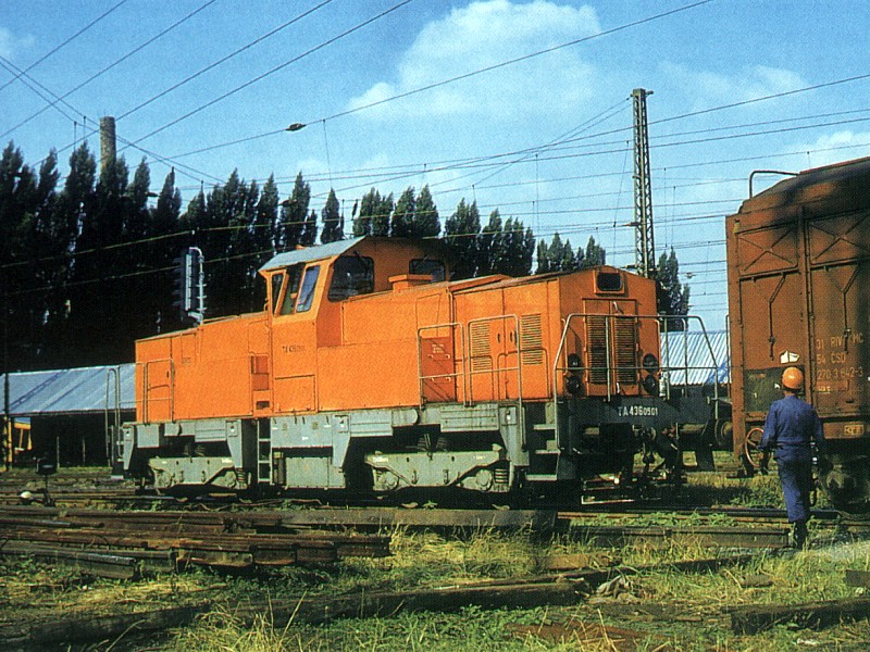 [800x600] 718501c.jpg