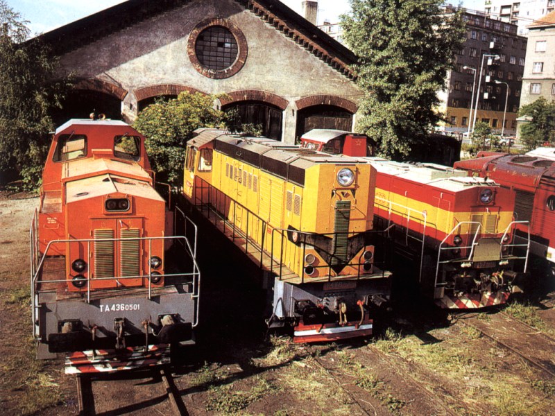 [800x600] 718501j.jpg