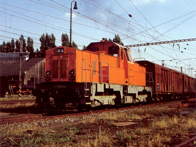 [800x600] 718501k.jpg