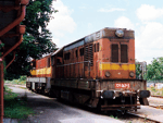 721069a.jpg