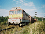 721168d.jpg