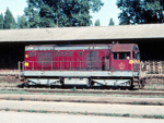 721195a.jpg