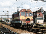 721198d.jpg