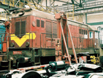 721540d.jpg
