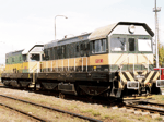 721545e.jpg