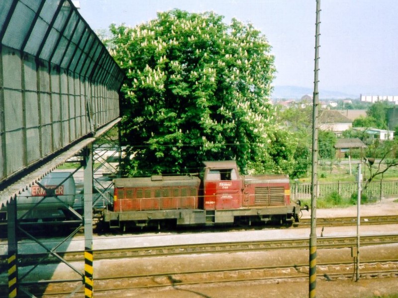 [800x600] 725092e.jpg