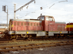 725105a.jpg