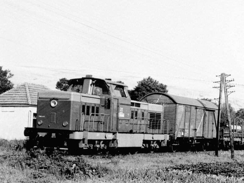 [800x600] 726050a.jpg