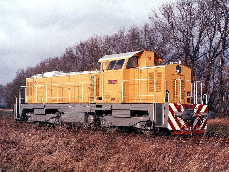 [800x600] 729501f.jpg