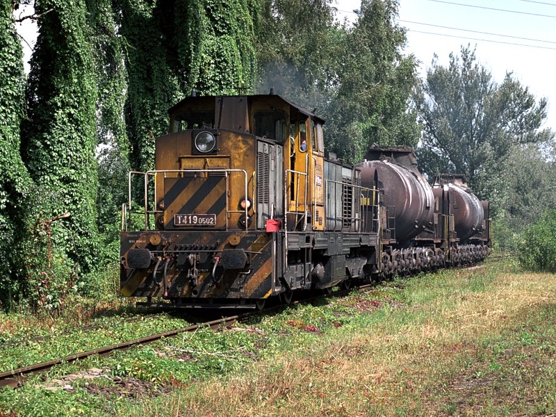 [800x600] 729502c.jpg