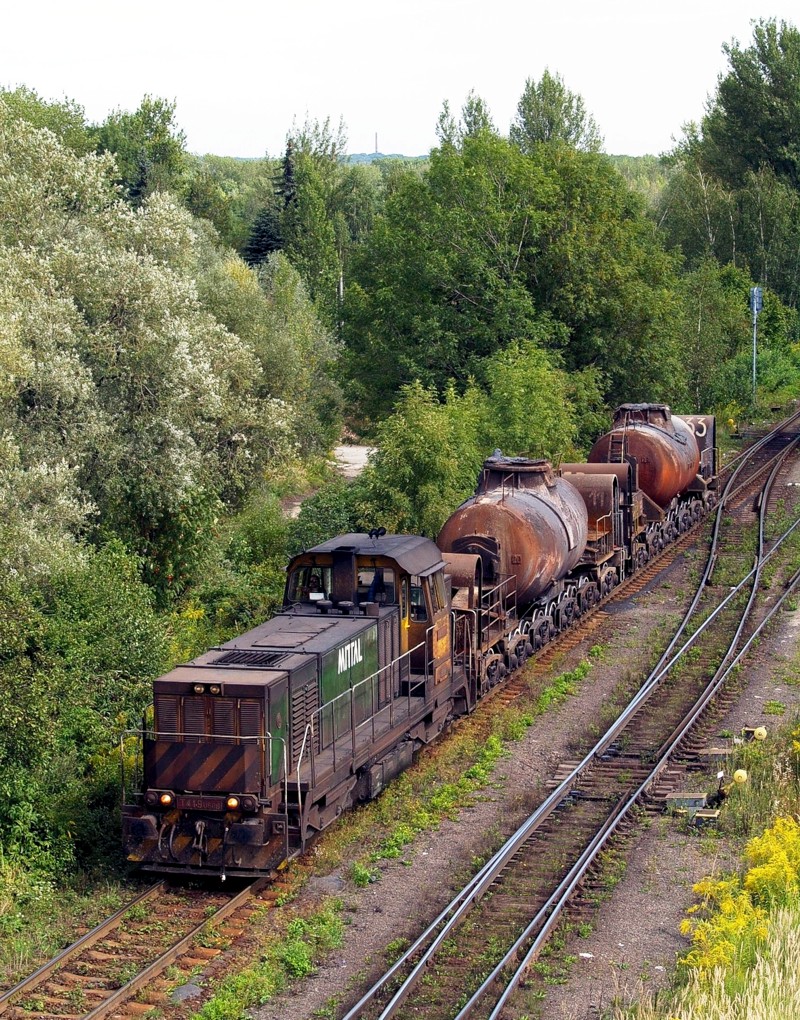 [800x1020] 729505i.jpg