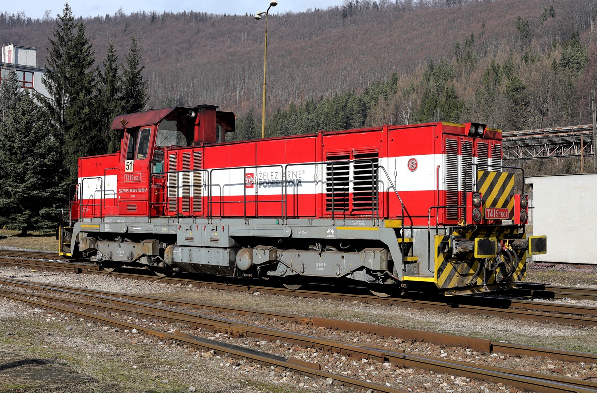 [1200x790] 729601d.jpg