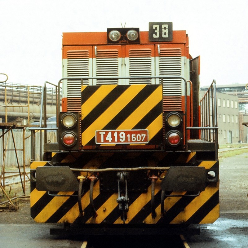 [800x800] 729607celoP.jpg