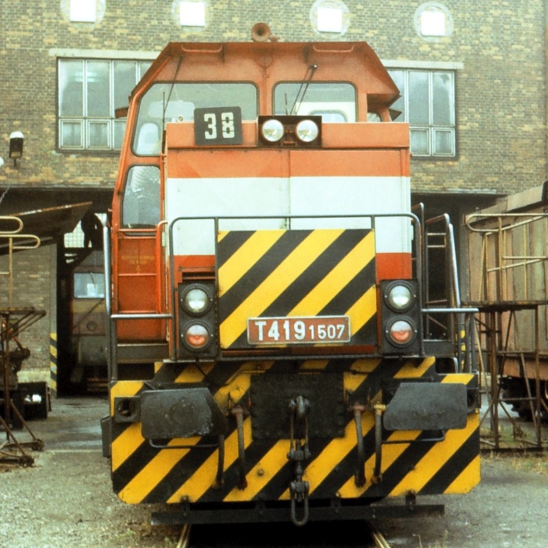 [800x800] 729607celoZ.jpg