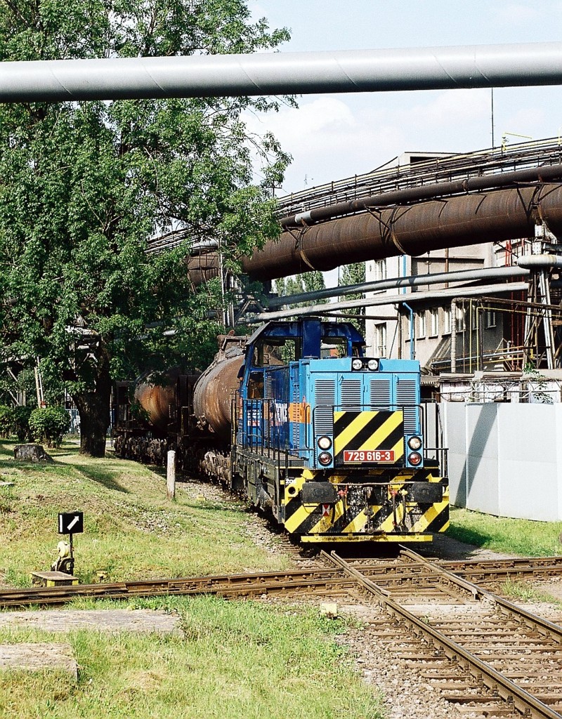 [800x1024] 729616a.jpg