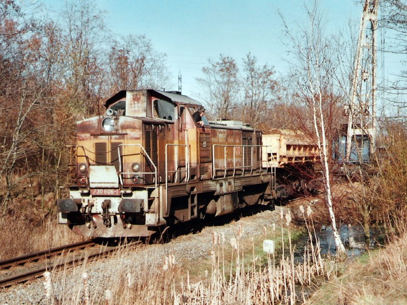 [800x600] 730606a.jpg