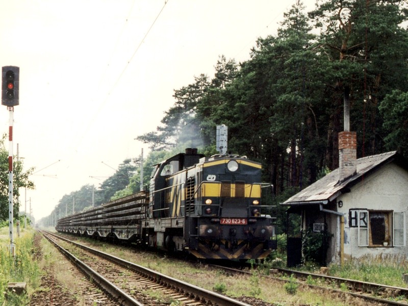 [800x600] 730623d.jpg