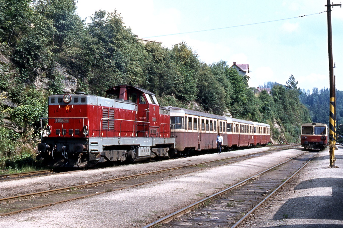 [1200x800] 735285d.jpg