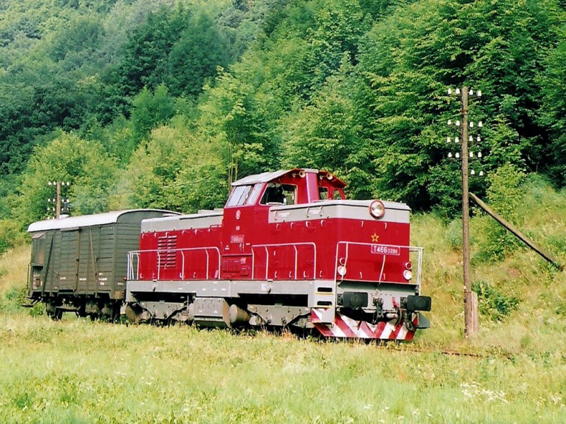 [800x600] 735286d.jpg