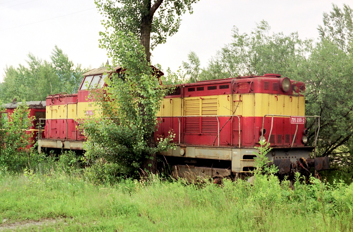 [1200x790] 735299a.jpg