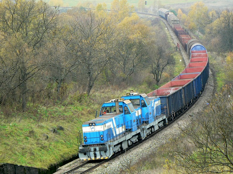 [800x600] 736008c.jpg