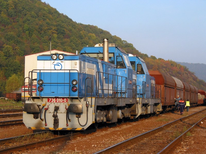 [800x600] 736010a.jpg