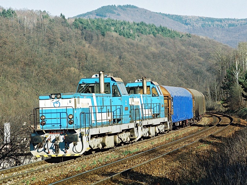 [800x600] 736011c.jpg