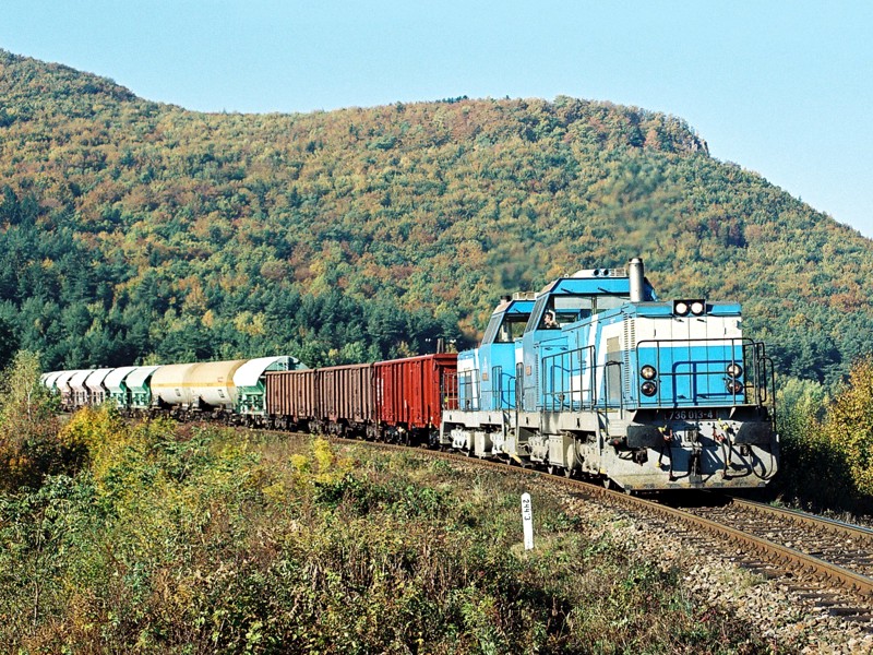 [800x600] 736013a.jpg