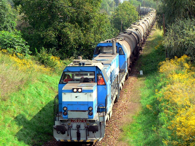 [800x600] 736017b.jpg