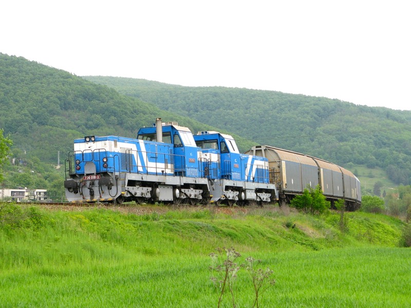 [800x600] 736018a.jpg