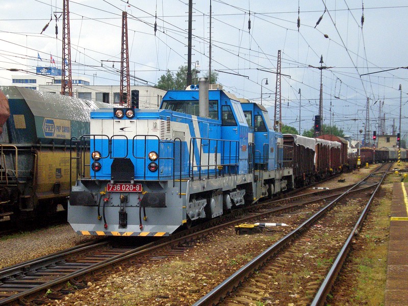 [800x600] 736020a.jpg