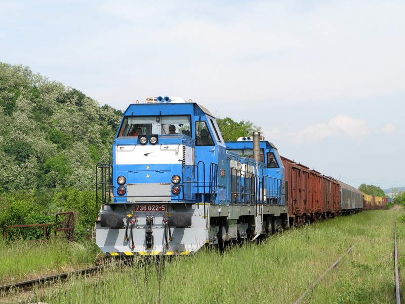 [800x600] 736022a.jpg