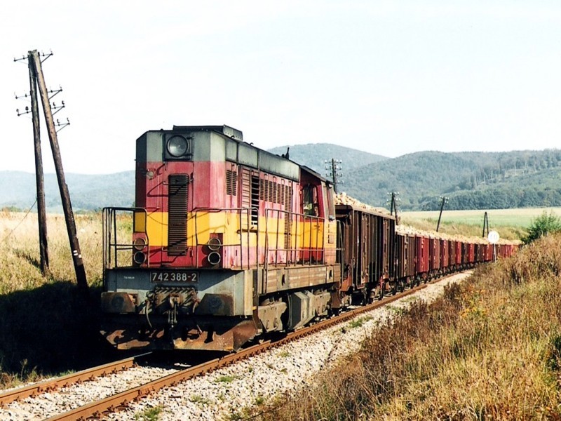 [800x600] 742388a.jpg