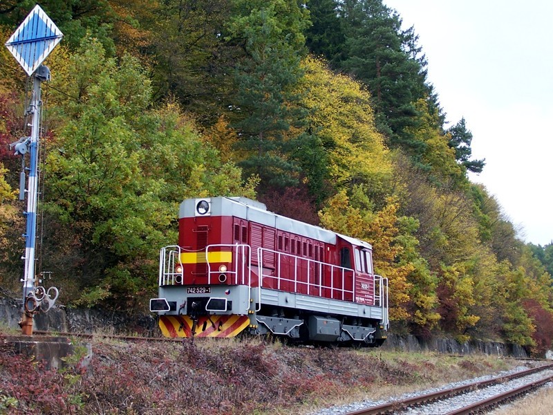 [800x600] 742529b.jpg