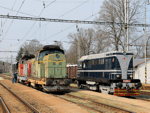 748532d.jpg