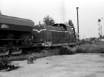 748536c.jpg