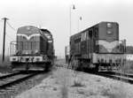 748536d.jpg