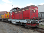 748537e.jpg