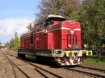 748538c.jpg