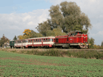 748538g.jpg