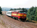 749102e.jpg