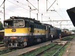 753046a.jpg