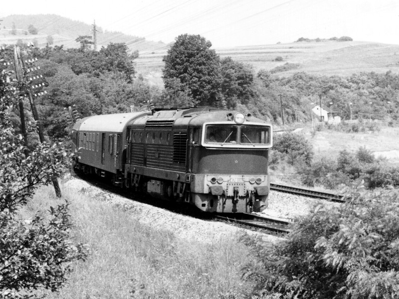 [800x600] 753202b.jpg