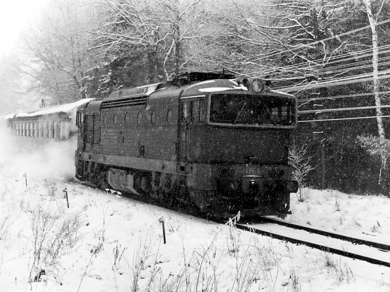 [800x600] 753302a.jpg