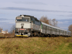754009d.jpg