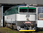 754015b.jpg