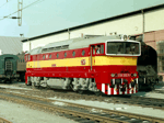 754202e.jpg